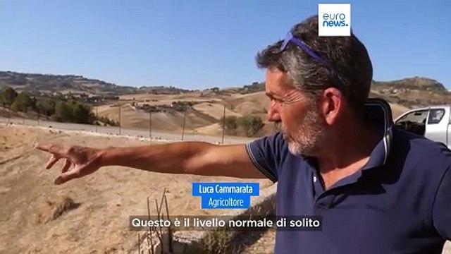 Siccità in Sicilia: bacini vuoti e produzione di grano in calo del 70%