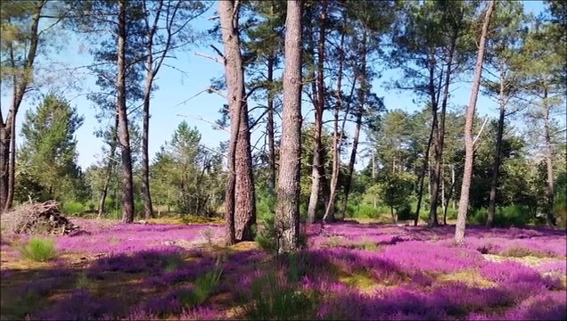 2024-JUILLET-BALADES & RANDOS