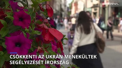 Csökkenti az ukrán menekültek segélyezését Írország