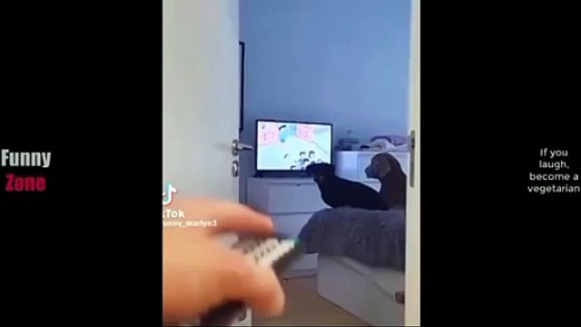 Funny video #funny #viral #trending #comedy #short #viralshorts #entertainment #fun