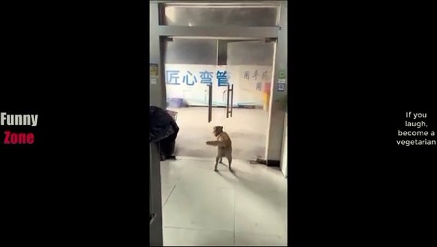 Funny video #funny #viral #trending #comedy #short #viralshorts #entertainment #fun