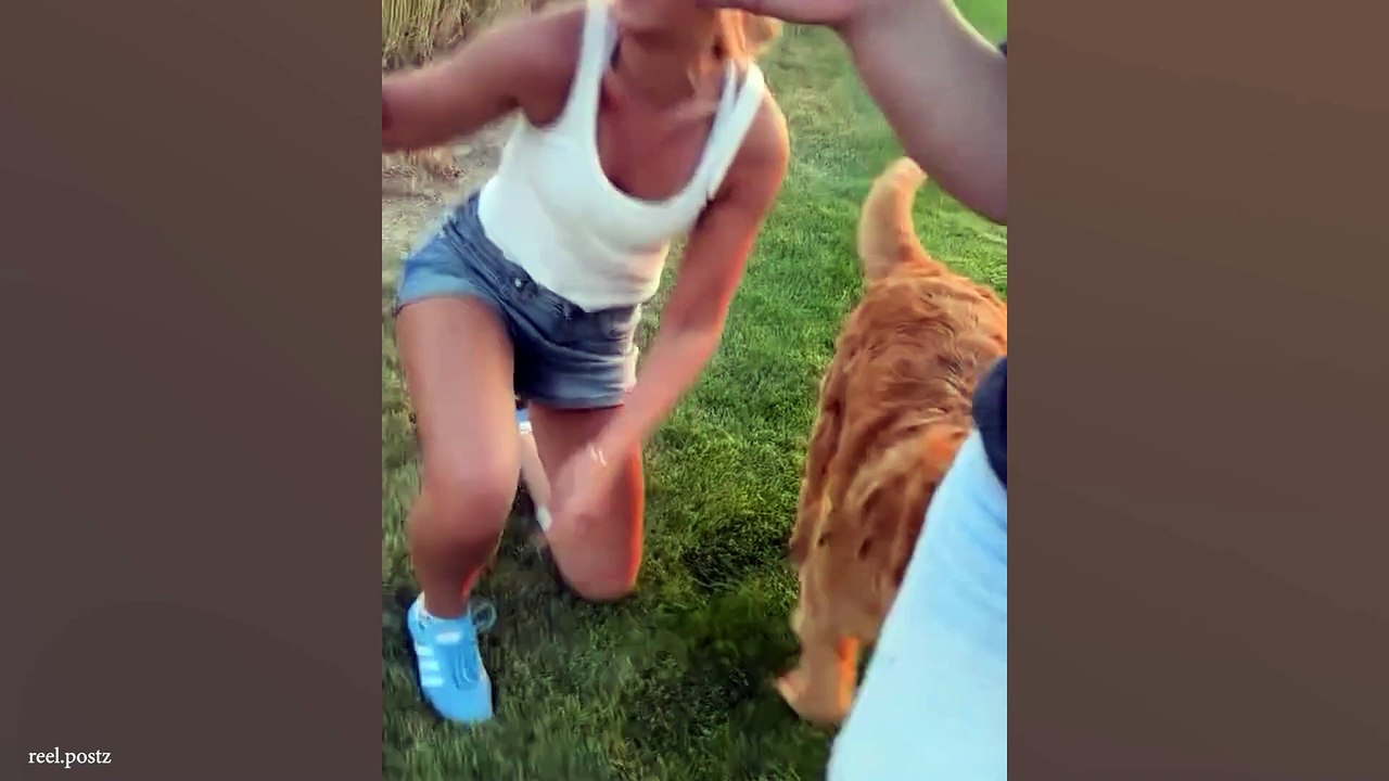 Funniest animal videos that will make you laugh  the best video of animal the amazing funny video of animals of 2025