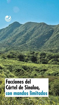 Facciones del Cártel de Sinaloa, con mandos limitados