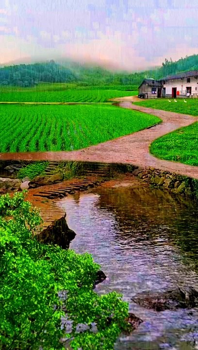 Raining raining #beautiful #beauty #news #live #raining #rain #today