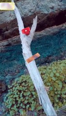 Isle of Conquest _ No Mans Land Full