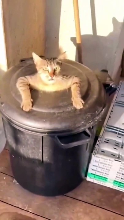 That look of being woken from a nap