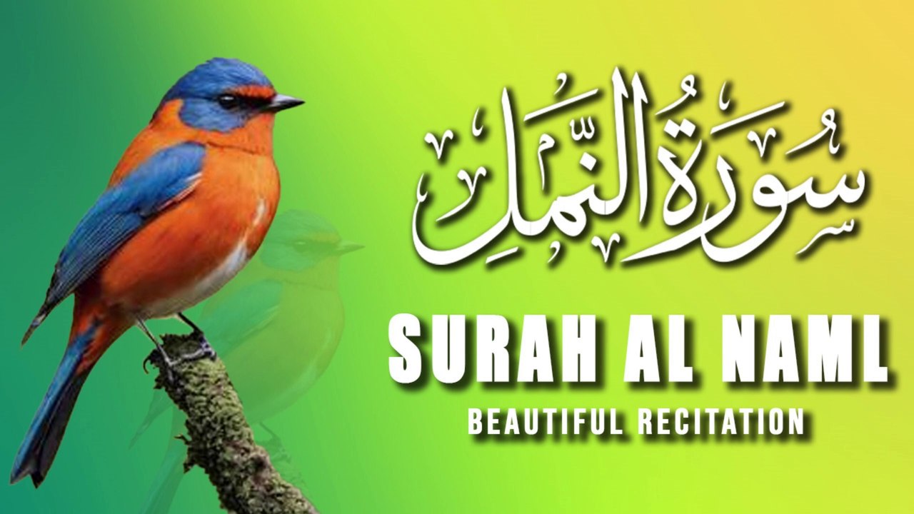 Surah An-Naml (The Ants) سورۃالنمل |Heart Touching Recitation |Tilawat e Quran | Al Quran
