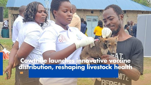 Cowtribe launches innovative vaccine distribution, reshaping livestock health
