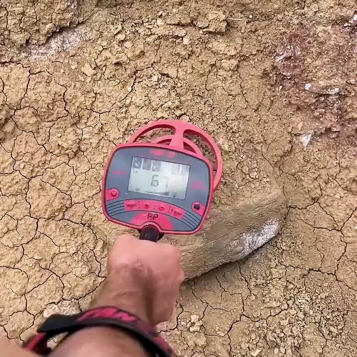 We Found Hidden Treasure Using Metal Detector | Treasure Hunt