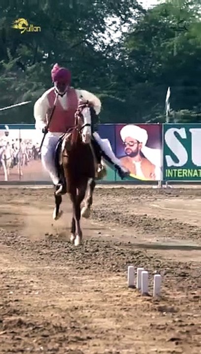 Amazing Horse Riding: Skills, Stunts, and Spectacular Performances