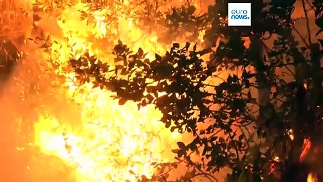Caldo in Europa, bruciano i boschi di Macedonia, Albania e Croazia