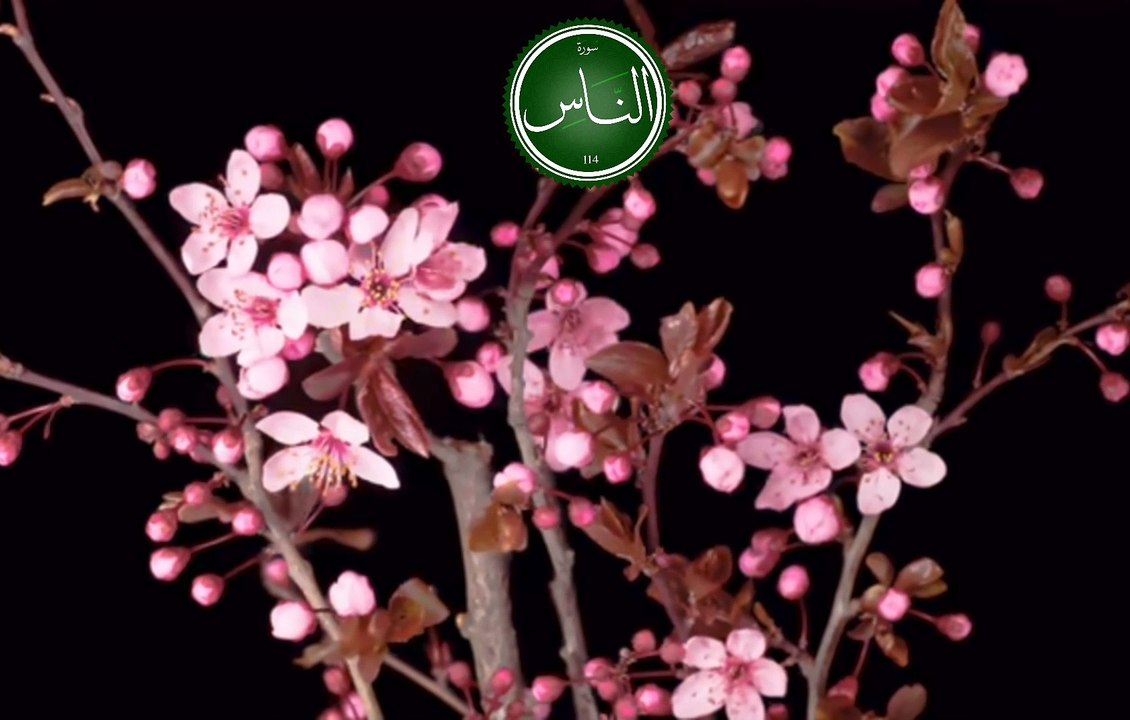 Surah an nas
