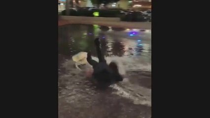 Best Funny Videos Of The Week 2024 - TRY NOT TO LAUGH  Memes 2024