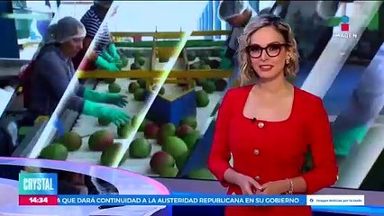 Proponen utilizar drones en el cultivo de mago en Guerrero