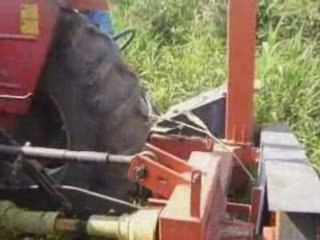 Vagon Forrajero de 9 y 12 Metros Cubicos