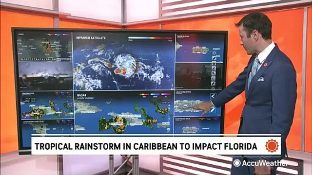 A tropical storm is likely to make landfall on Florida's Gulf Coast