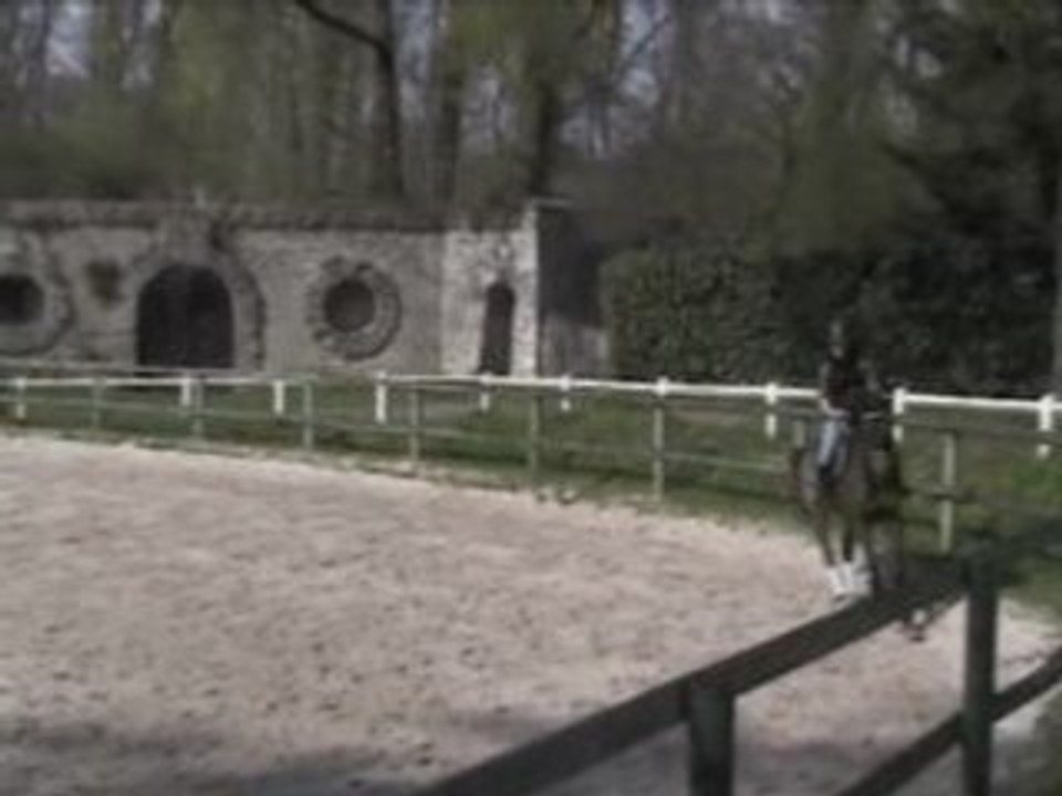 Miami -> Départs au galop