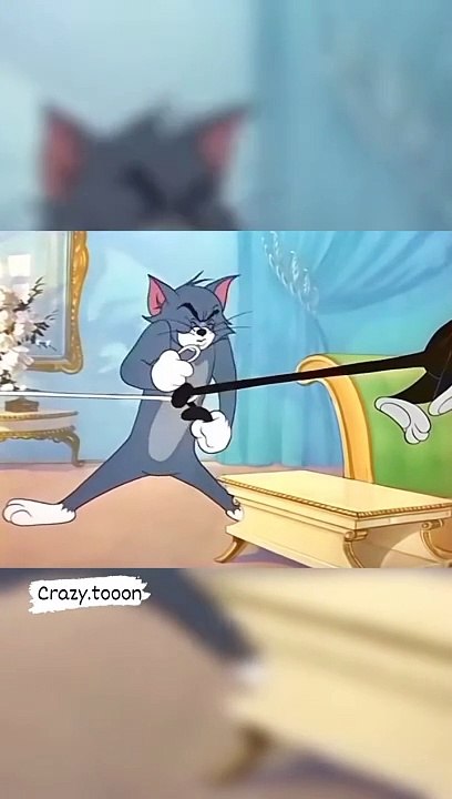 Tom and Jerry cartoon Tom and Black cat fight for a friend