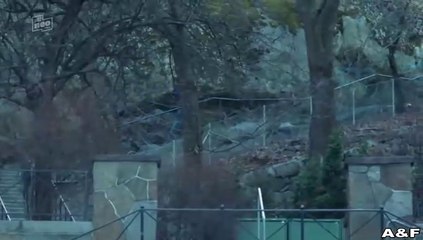 Hanna Svensson -18- Blutsbande