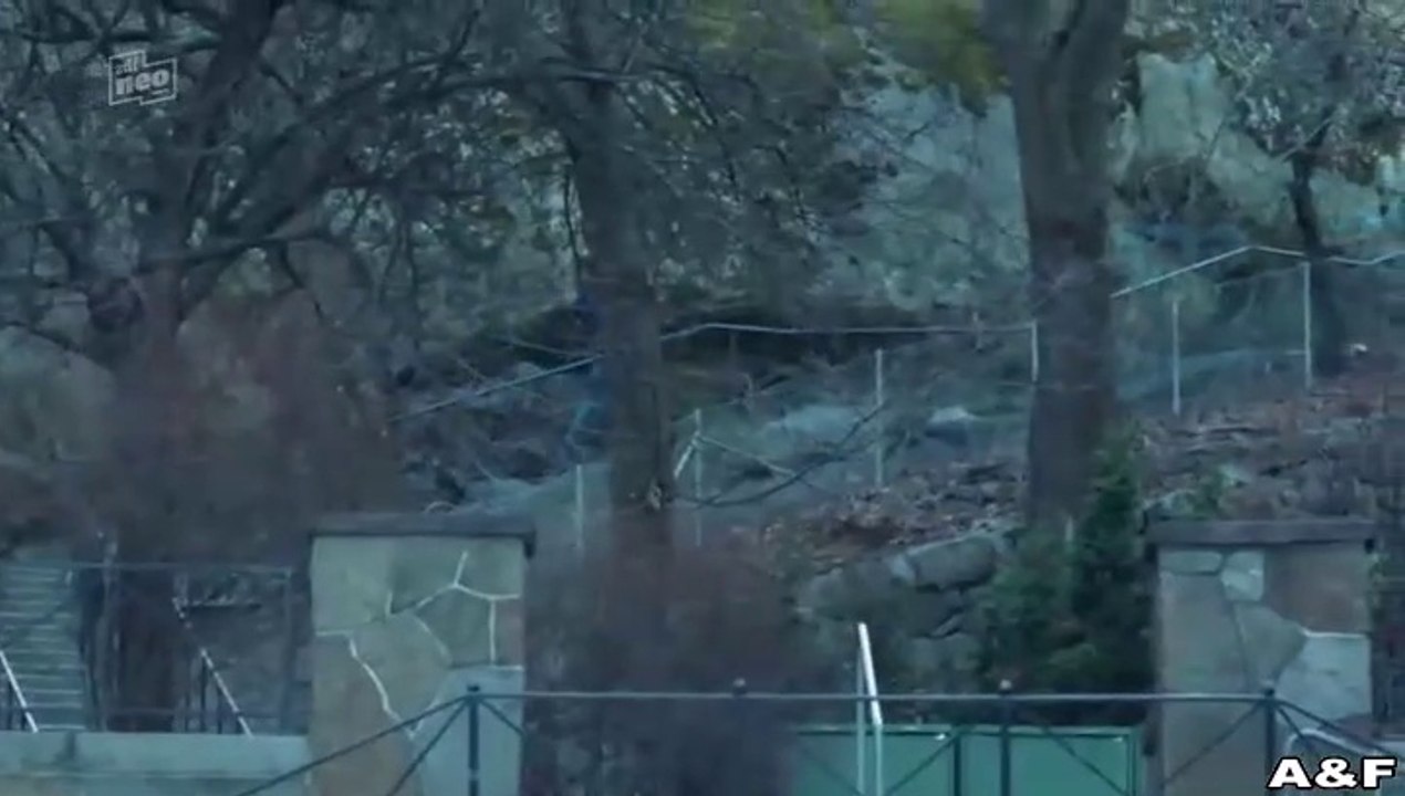 Hanna Svensson -18- Blutsbande