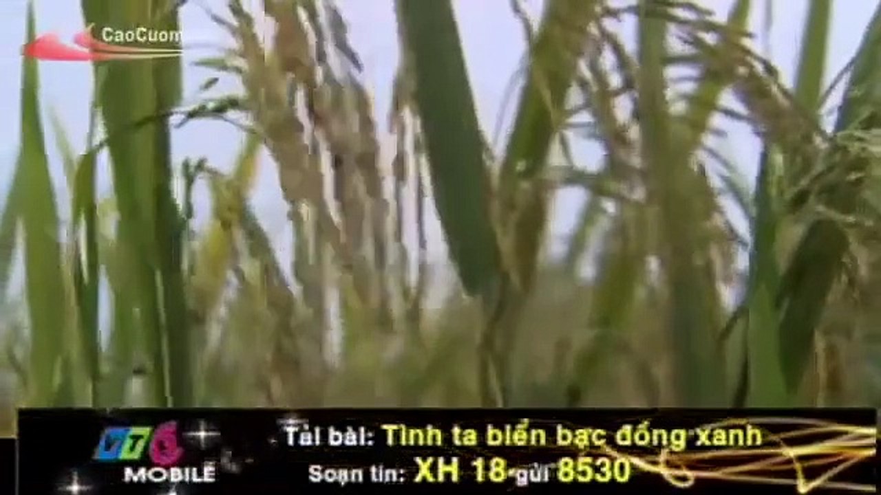 [GÓC ÂM NHẠC] Karaoke Tình ta Biển bạc Đồng Xanh Trọng Tấn - Anh Thơ(360P)
