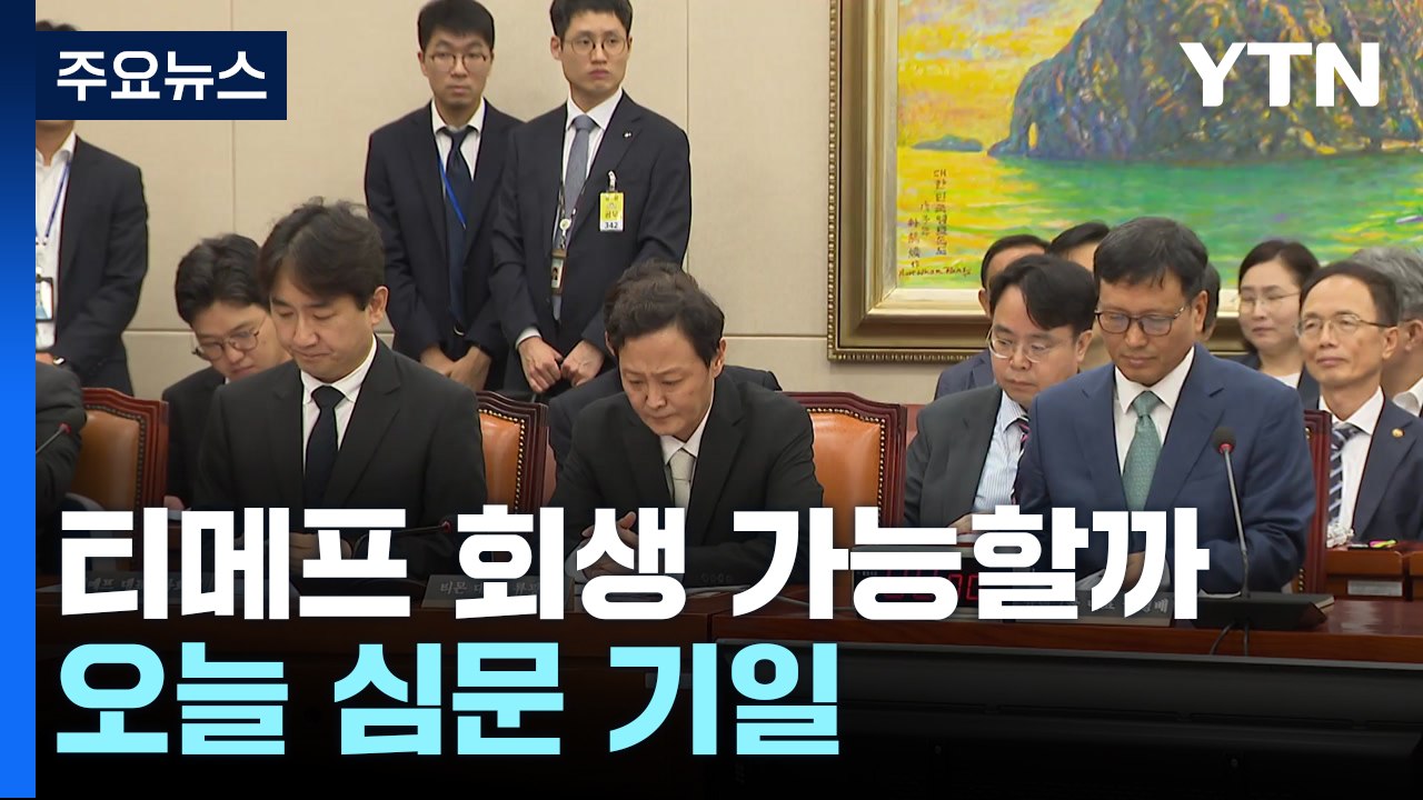'정산지연' 티메프 회생 가능할까...오늘 심문 기일 / YTN