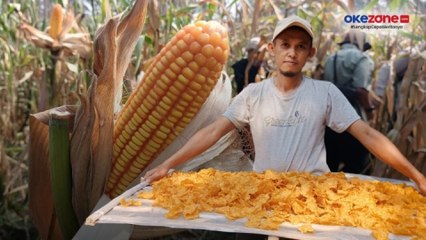 Petani Rumpin Bogor Ubah Jagung Jadi Emping, Keuntungan Berlipat-lipat
