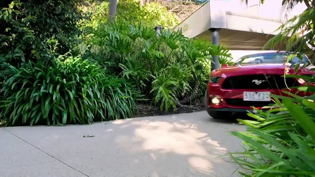 Neighbours 9088 1st August 2024