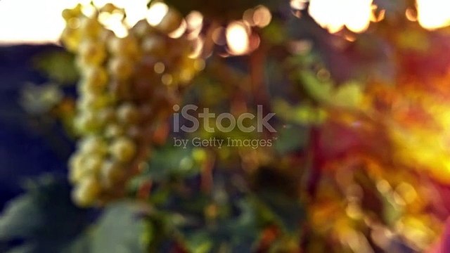 istockphoto-600020148-640_adpp_is