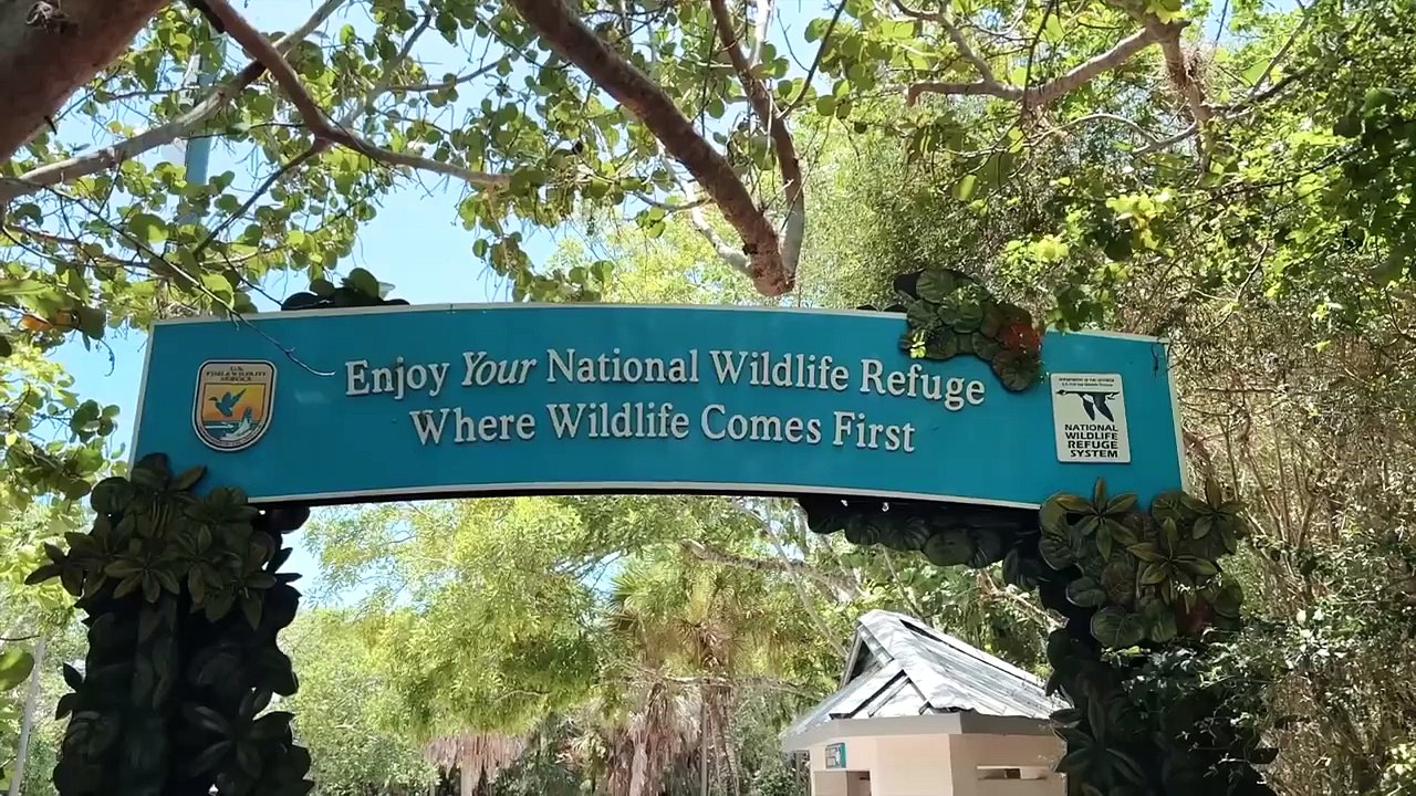 My Solo Trip to Fort Myers, Sanibel & Captiva Islands