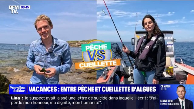 Pêche ou cueillette d'algues: les matchs de l'été des activités de vacances
