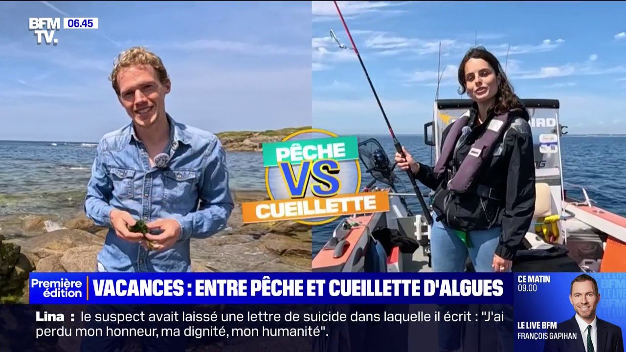 Pêche ou cueillette d'algues: les matchs de l'été des activités de vacances