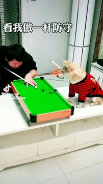 #snooker #trickshot #videos #foryou #funnymoments #rehmanitx54 #funnyvideo #viralvideo