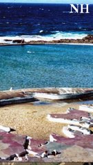 Fragments of Newcastle's map of the world pool uncovered | August 2 2024| Newcastle Herald