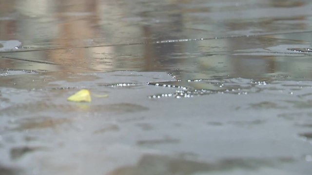 새벽 청소노동자, 흉기에 찔려 숨져...70대 남성 검거 / YTN