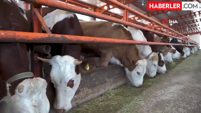 Tarıma Dayalı İhtisas BESİ OSB Erzincan ekonomisine 3 milyar 600 milyon TL katkı sağlayacak