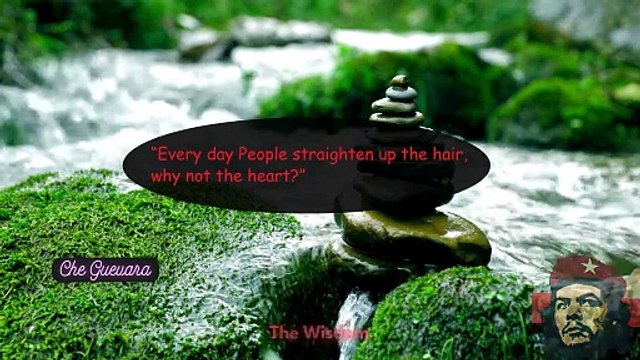 Che Guevara’s Best Quotes In English 02|| The Wisdom