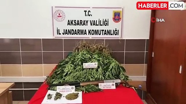 Uyuşturucu tacirinin evine baskın: Kenevir, esrar ve tüfek ele geçirildi