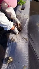 Most Funny Videos On Internet #funny #viral