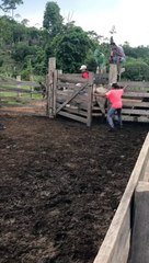 Most Funny Videos On Internet #funny #viral