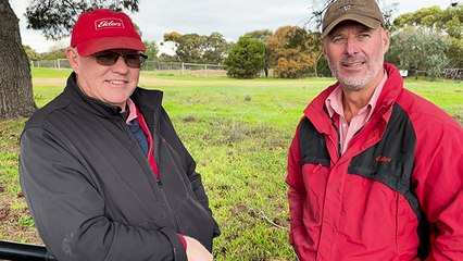 Strathalbyn market | Stock Journal