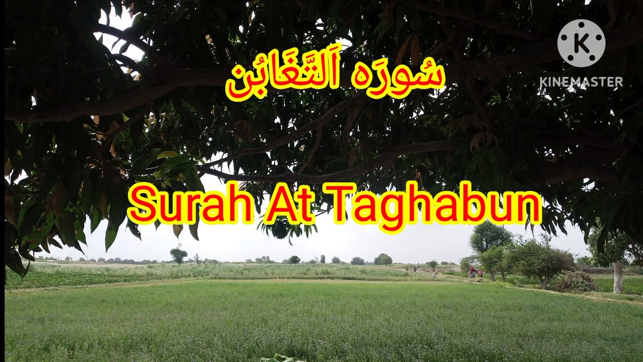 Surah At Taghabun | quran tilawat | qirat recitation | bubak learn quran |