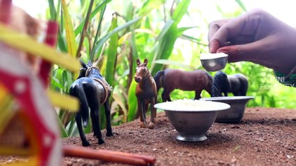 برياني البيض في قدر الضغط _ برياني أندا _ ميني فودكي