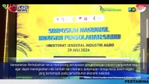 Pacu Ekonomi Rakyat, Indonesia Berpotensi Tumbuhkan Industri Olahan Sagu