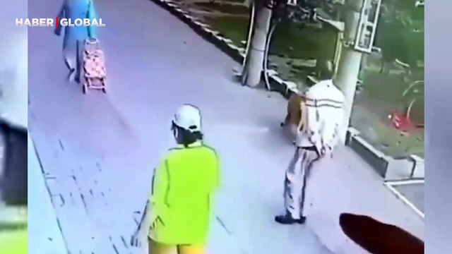 Kafasına kedi düşen adamın bayıldığı anlar izlenme rekoru kırdı