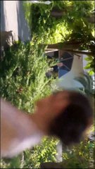 Ako Volis - Epizoda 10 (S01E10) / TURSKA SERIJA SA PREVODOM