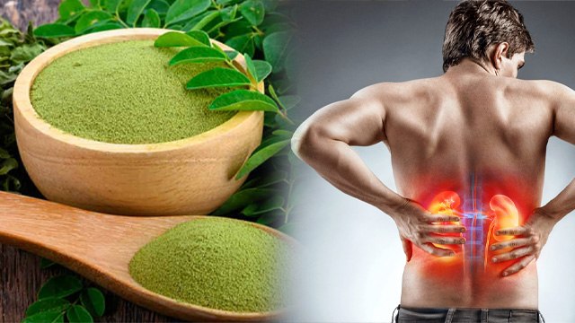 Sugar Me Sahjan Khana Chahiye Ya Nahi| Moringa Powder Benefits For Diabatics|Boldsky