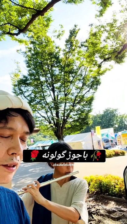باجوڑ گلونہ