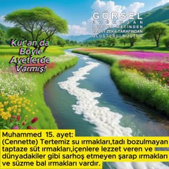Dünyadakiler gibi sarhoş etmeyen şarap ırmakları….. - Muhammed 15.ayet