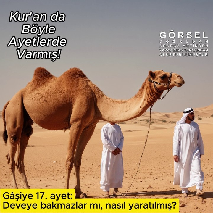 Deveye bakmazlar mı, nasıl yaratılmış?….. - Gâşiye 17.ayet